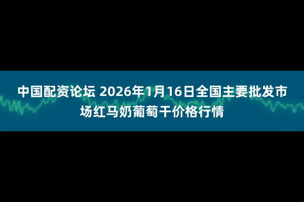 中国配资论坛 2026年1月16日全国主要批发市场红马奶葡萄干价格行情